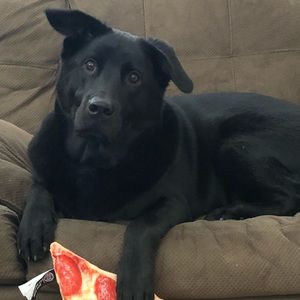 Meet your Posher, Kristy